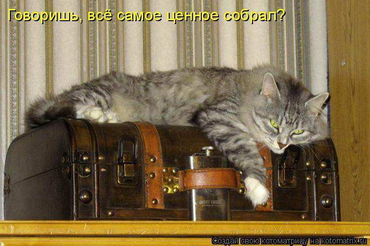 Говоришь, всё самое ценное собрал?... Котоматрица: Говоришь, всё самое ценное собрал?