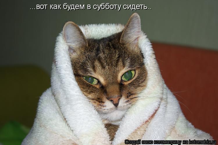 ...вот как будем в субботу сидеть..... Котоматрица: ...вот как будем в субботу сидеть..