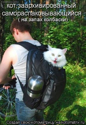 кот заархивированный самораспаковывающийся ( на запах колбаски)... Котоматрица: кот заархивированный самораспаковывающийся ( на запах колбаски)