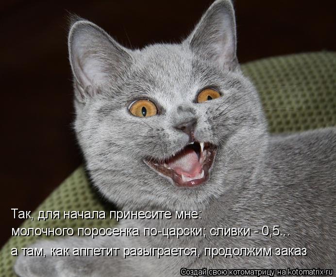 Так, для начала принесите мне: молочного поросенка по-царски; сливки - 0,5... а там, как аппетит раз... Котоматрица: Так, для начала принесите мне: молочного поросенка по-царски; сливки - 0,5... а там, как аппетит разыграется, продолжим заказ