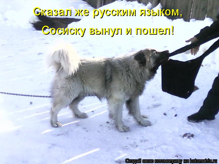 Сказал же русским языком, Сосиску вынул и пошел!... Котоматрица: Сказал же русским языком, Сосиску вынул и пошел!