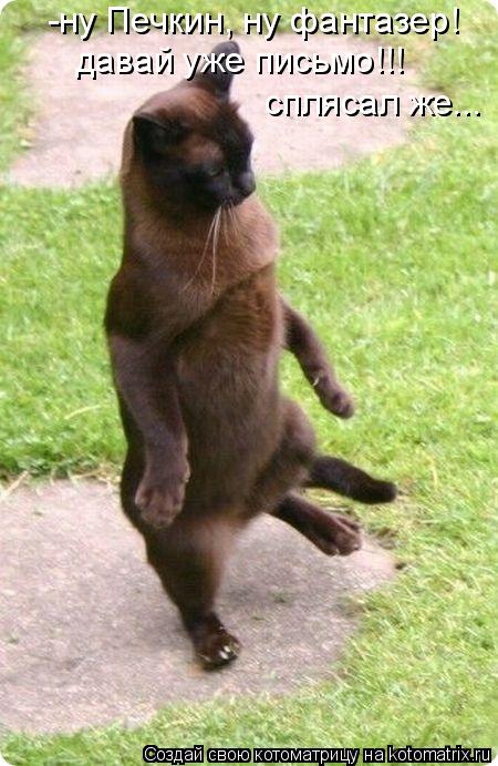 -ну Печкин, ну фантазер! давай уже письмо!!! сплясал же...... Котоматрица: -ну Печкин, ну фантазер! давай уже письмо!!! сплясал же...