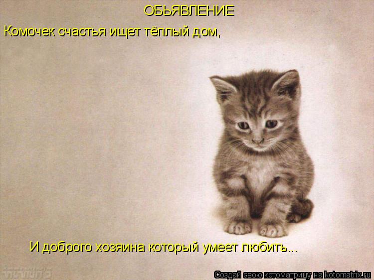 Комочек счастья ищет тёплый дом, ОБЬЯВЛЕНИЕ И доброго хозяина который умеет любить...... Котоматрица: Комочек счастья ищет тёплый дом, ОБЬЯВЛЕНИЕ И доброго хозяина который умеет любить...