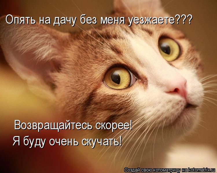Опять на дачу без меня уезжаете??? Возвращайтесь скорее! Я буду очень скучать!... Котоматрица: Опять на дачу без меня уезжаете??? Возвращайтесь скорее! Я буду очень скучать!