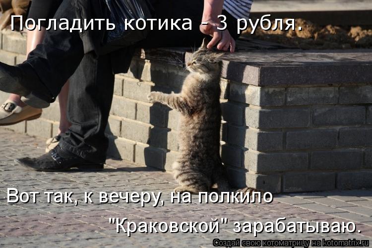 Погладить котика - 3 рубля. Вот так, к вечеру, на полкило "Краковской" зарабатываю.... Котоматрица: Погладить котика - 3 рубля. Вот так, к вечеру, на полкило "Краковской" зарабатываю.