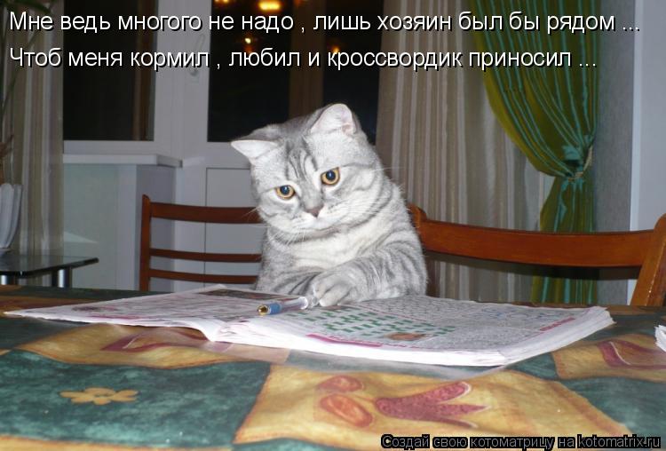 Мне ведь многого не надо , лишь хозяин был бы рядом ... Чтоб меня кормил , любил и кроссвордик принос... Котоматрица: Мне ведь многого не надо , лишь хозяин был бы рядом ... Чтоб меня кормил , любил и кроссвордик приносил ...