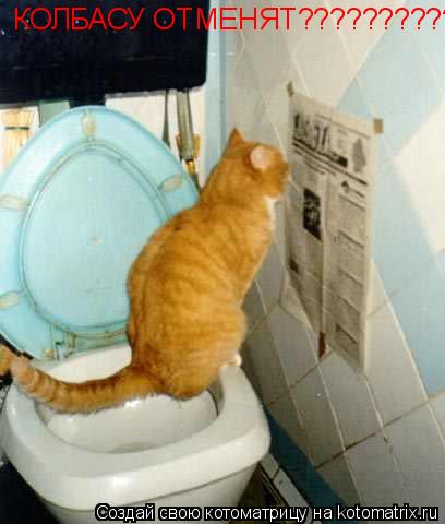 КОЛБАСУ ОТМЕНЯТ??????????... Котоматрица: КОЛБАСУ ОТМЕНЯТ??????????