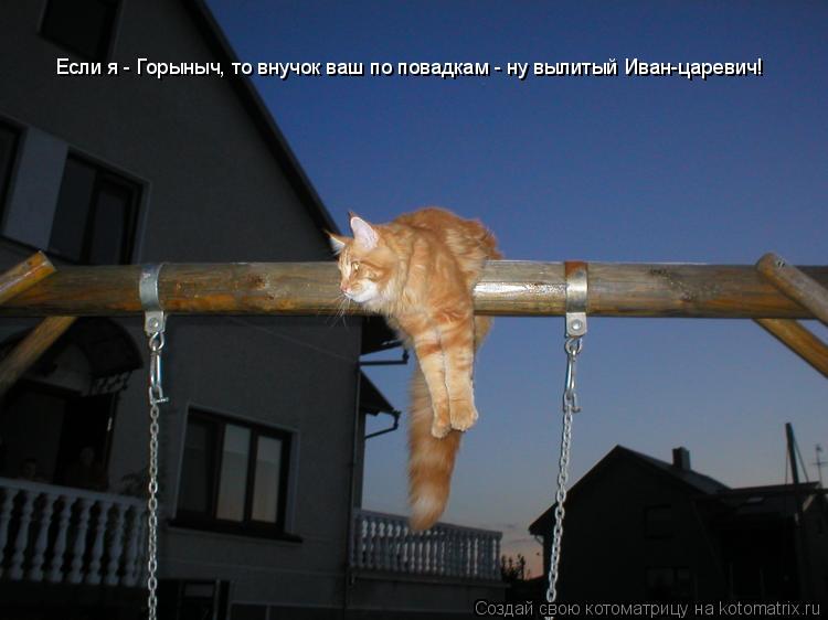 Если я - Горыныч, то внучок ваш по повадкам - ну вылитый Иван-царевич!... Котоматрица: Если я - Горыныч, то внучок ваш по повадкам - ну вылитый Иван-царевич!