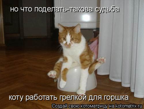 но что поделать-такова судьба коту работать грелкой для горшка... Котоматрица: но что поделать-такова судьба коту работать грелкой для горшка