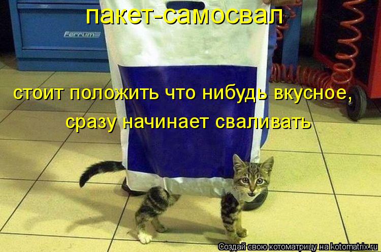 Котоматрица: пакет-самосвал стоит положить что нибудь вкусное, сразу начинает сваливать