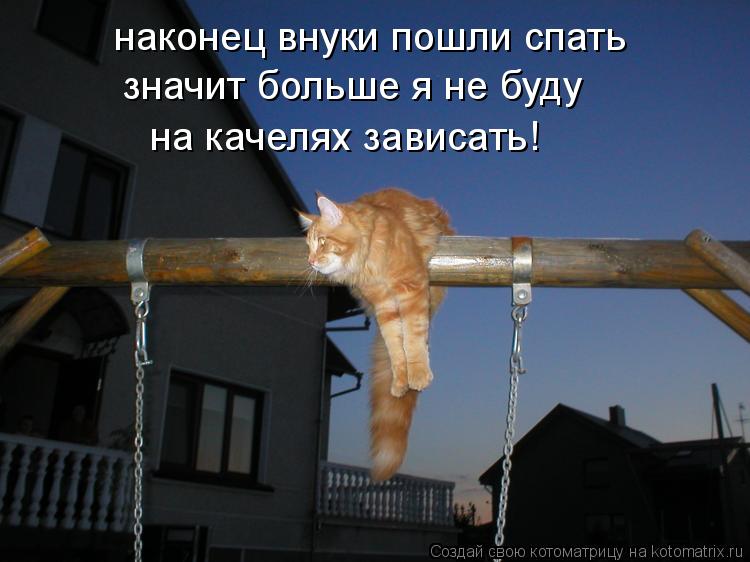 Котоматрица: наконец внуки пошли спать значит больше я не буду на качелях зависать!