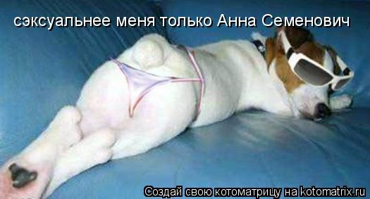 Котоматрица: сэксуальнее меня только Анна Семенович