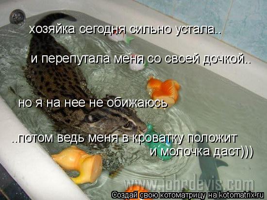 Котоматрица: хозяйка сегодня сильно устала.. и перепутала меня со своей дочкой.. но я на нее не обижаюсь и молочка даст))) ..потом ведь меня в кроватку полож