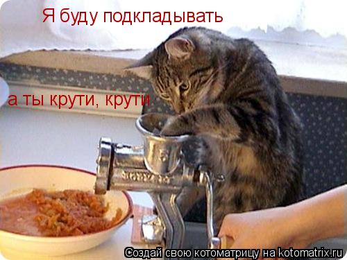 Котоматрица: Я буду подкладывать а ты крути, крути