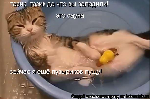 Котоматрица: это сауна тазик, тазик да что вы заладили! сейчас я ещё пузыриков пущу!