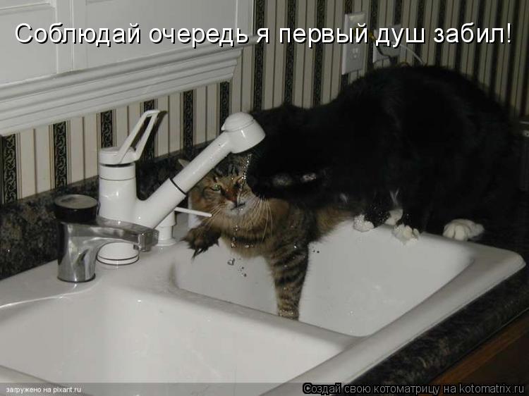 Котоматрица: Соблюдай очередь я первый душ забил!