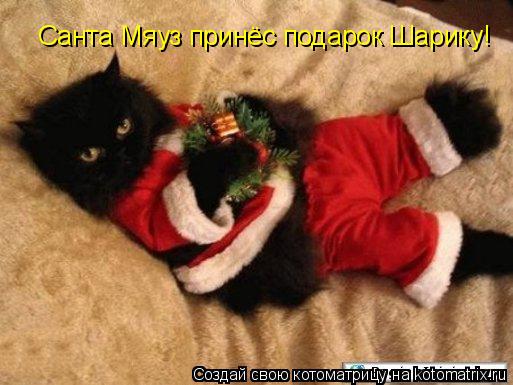 Котоматрица: Санта Мяуз принёс подарок Шарику!