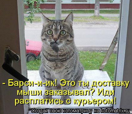 Котоматрица: - Барси-и-ик! Это ты доставку мыши заказывал? Иди расплатись с курьером!