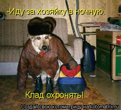 Котоматрица: Клад охронять! -Иду за хозяйку в ночную.