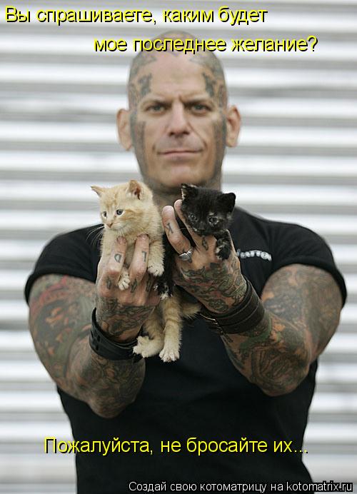 Котоматрица: Вы спрашиваете, каким будет  мое последнее желание?  Пожалуйста, не бросайте их...