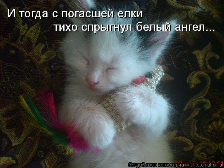 Котоматрица: И тогда с погасшей елки  тихо спрыгнул белый ангел...