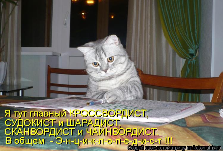 Я тут главный КРОССВОРДИСТ, СУДОКИСТ и ШАРАДИСТ, СКАНВОРДИСТ и ЧАЙНВОРДИСТ. В общем - Э-н-ц-и-к-л-о-... Котоматрица: Я тут главный КРОССВОРДИСТ, СУДОКИСТ и ШАРАДИСТ, СКАНВОРДИСТ и ЧАЙНВОРДИСТ. В общем - Э-н-ц-и-к-л-о-п-е-д-и-с-т !!!