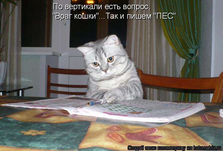 По вертикали есть вопрос, "Враг кошки"... Так и пишем "ПЕС"... Котоматрица: По вертикали есть вопрос, "Враг кошки"... Так и пишем "ПЕС"