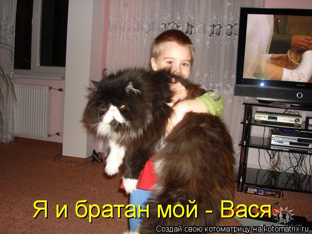 Котоматрица: Я и братан мой - Вася