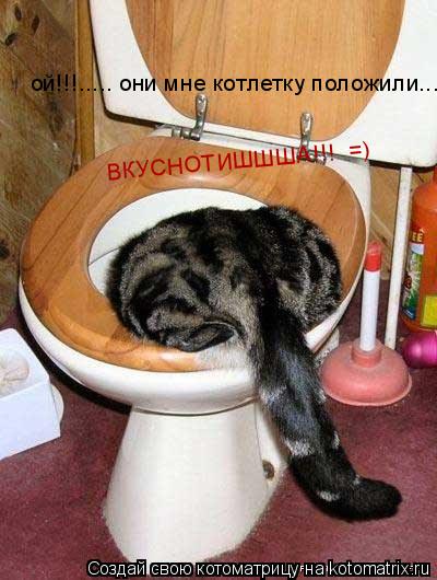 Котоматрица: ой!!!..... они мне котлетку положили.... ВКУСНОТИШШША!!!  =)