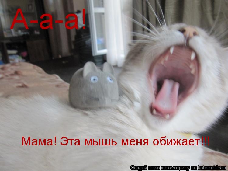 А-а-а! Мама! Эта мышь меня обижает!!!... Котоматрица: А-а-а! Мама! Эта мышь меня обижает!!!
