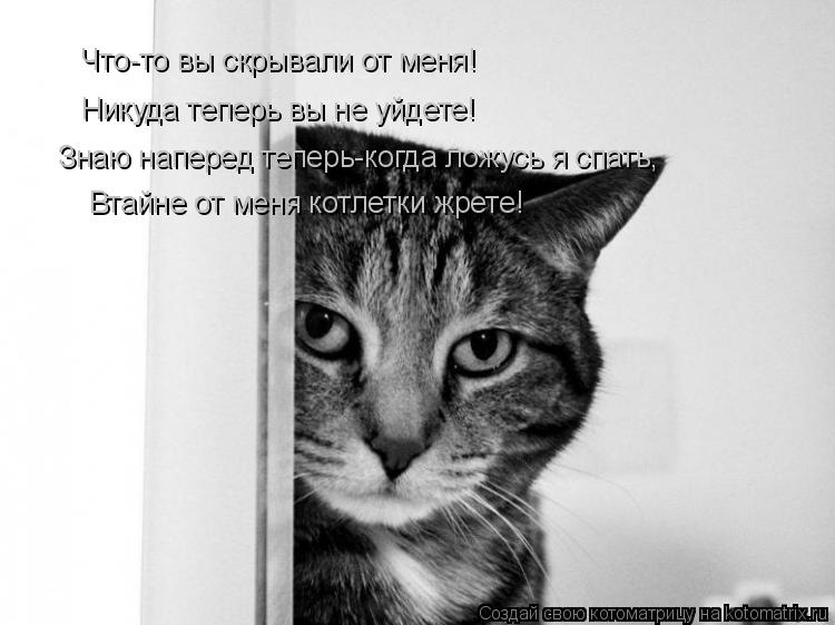 Котоматрица: Что-то вы скрывали от меня! Никуда теперь вы не уйдете! Знаю наперед теперь-когда ложусь я спать, Втайне от меня котлетки жрете!