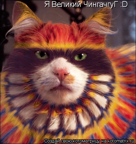Котоматрица: Я Великий ЧингачгуГ :D