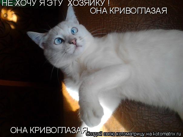 Котоматрица: НЕ ХОЧУ Я ЭТУ  ХОЗЯЙКУ ! ОНА КРИВОГЛАЗАЯ ОНА КРИВОГЛАЗАЯ