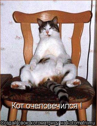 Котоматрица: Кот очеловечился !