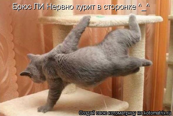 Котоматрица: Брюс ЛИ Нервно курит в сторонке ^_^