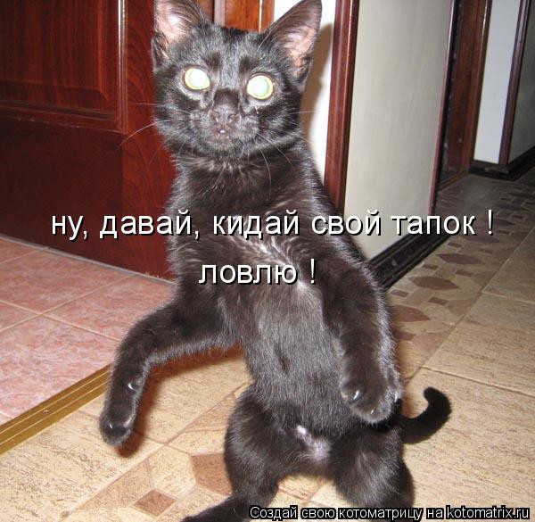 Котоматрица: ну, давай, кидай свой тапок ! ловлю !