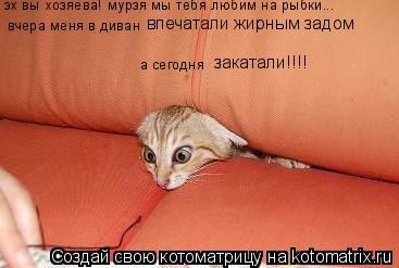 Котоматрица: эх вы хозяева! мурзя мы тебя любим на рыбки...  вчера меня в диван   а сегодня  впечатали жирным задом закатали!!!!