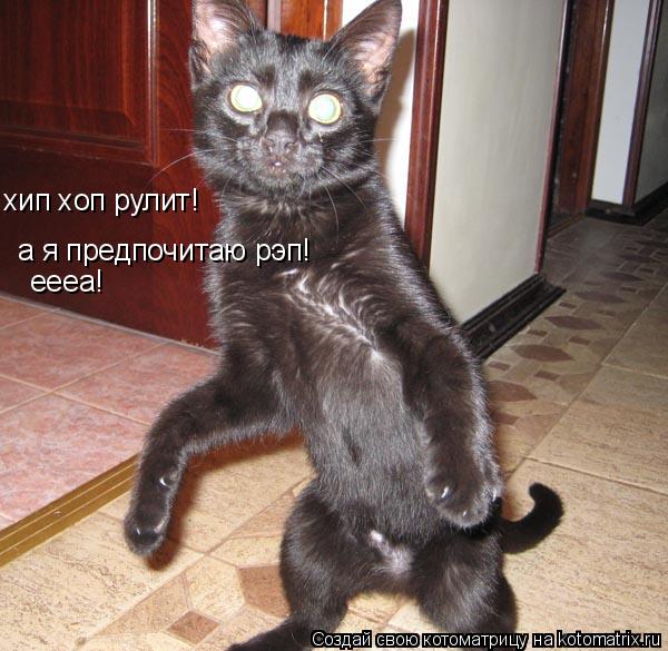 Котоматрица: хип хоп рулит! а я предпочитаю рэп! еееа!