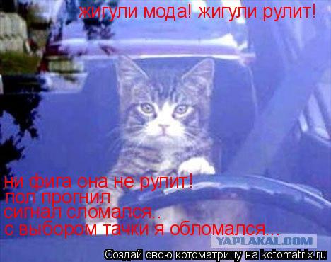 Котоматрица: жигули мода! жигули рулит!  ни фига она не рулит! пол прогнил сигнал сломался.. с выбором тачки я обломался...