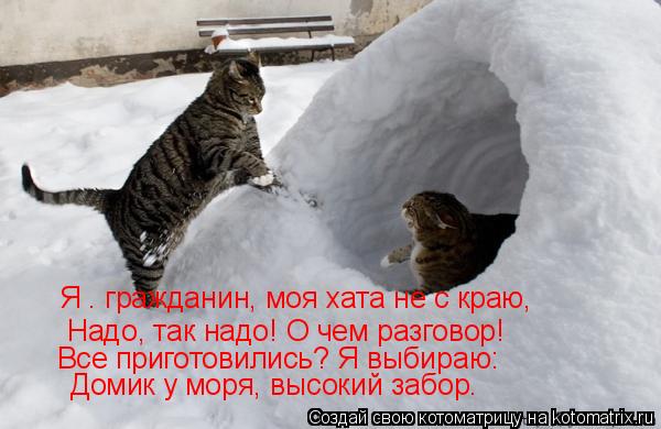 Котоматрица: Я – гражданин, моя хата не с краю, Надо, так надо! О чем разговор!  Все приготовились? Я выбираю:  Домик у моря, высокий забор.