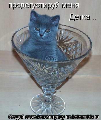 Котоматрица: продегустируй меня Детка...