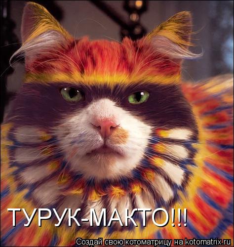 Котоматрица: ТУРУК-МАКТО!!!