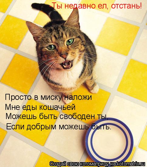 Просто в миску наложи Мне еды кошачьей Можешь быть свободен ты, Если добрым можешь быть. -Ты недавно ... Котоматрица: Просто в миску наложи Мне еды кошачьей Можешь быть свободен ты, Если добрым можешь быть. -Ты недавно ел, отстань!