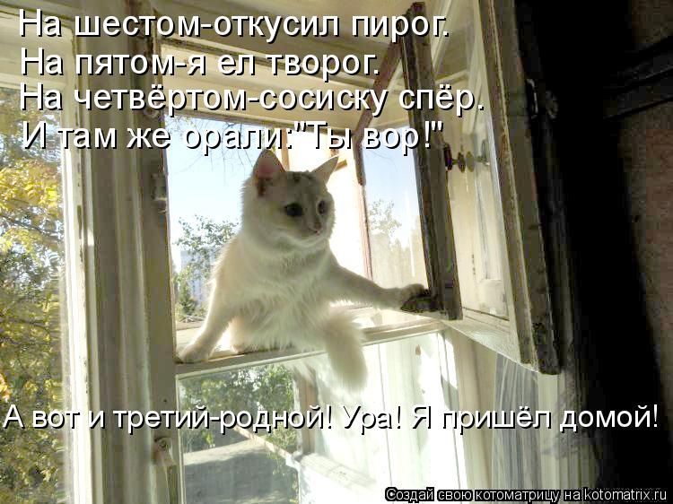 На шестом-откусил пирог. На пятом-я ел творог. На четвёртом-сосиску спёр. И там же орали:"Ты вор!" А ... Котоматрица: На шестом-откусил пирог. На пятом-я ел творог. На четвёртом-сосиску спёр. И там же орали:"Ты вор!" А вот и третий-родной! Ура! Я пришёл домой!