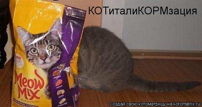 Капитали КОТиталиКОРМзация... Котоматрица: Капитали КОТиталиКОРМзация