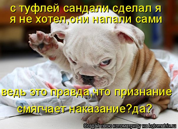 с туфлей сандали сделал я я не хотел,они напали сами ведь это правда,что признание смягчает наказание... Котоматрица: с туфлей сандали сделал я я не хотел,они напали сами ведь это правда,что признание смягчает наказание?да?