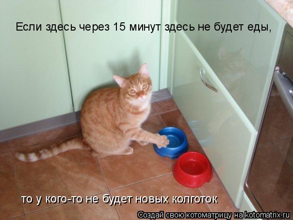 Котоматрица: Если здесь через 15 минут здесь не будет еды, то у кого-то не будет новых колготок