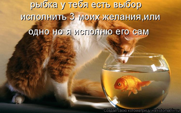 Котоматрица: рыбка у тебя есть выбор исполнить 3 моих желания,или одно но я исполню его сам