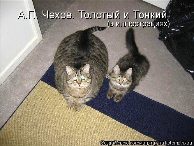 Котоматрица: А.П. Чехов. Толстый и Тонкий (в иллюстрациях)