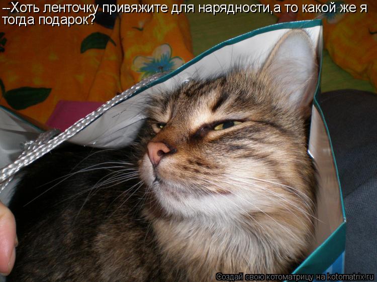 Котоматрица: --Хоть ленточку привяжите для нарядности,а то какой же я тогда подарок?